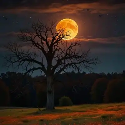 nature images for whatsapp dp nature images for whatsapp dp